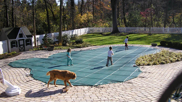 Home Pool Safety Must-Haves